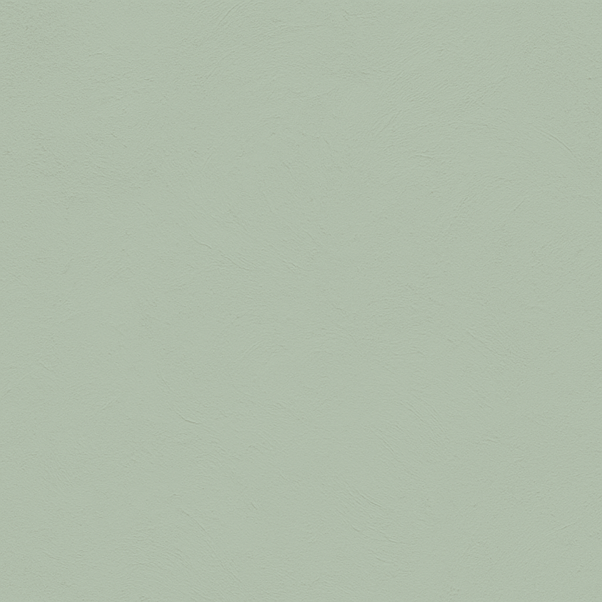 Eucalyptus