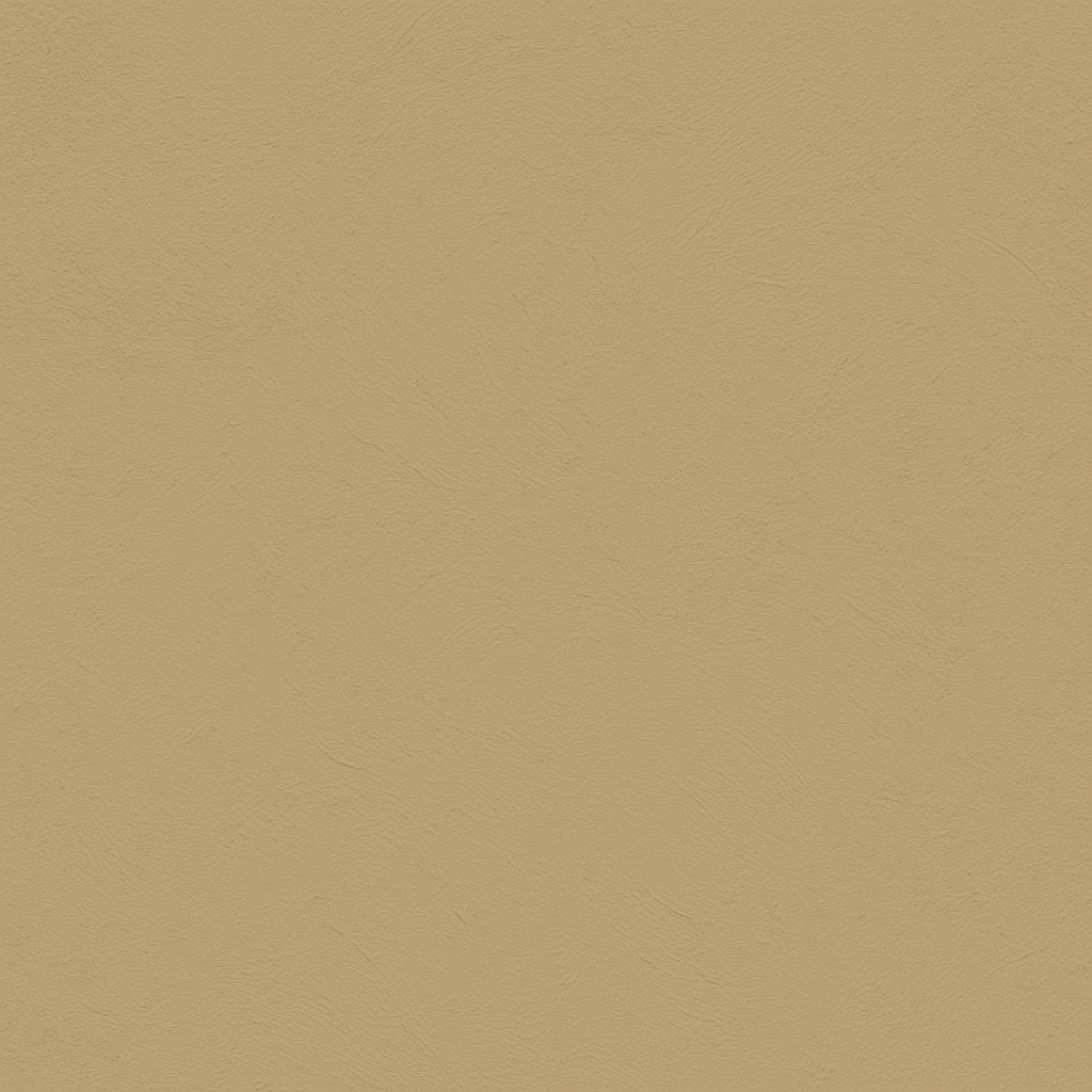Mojave