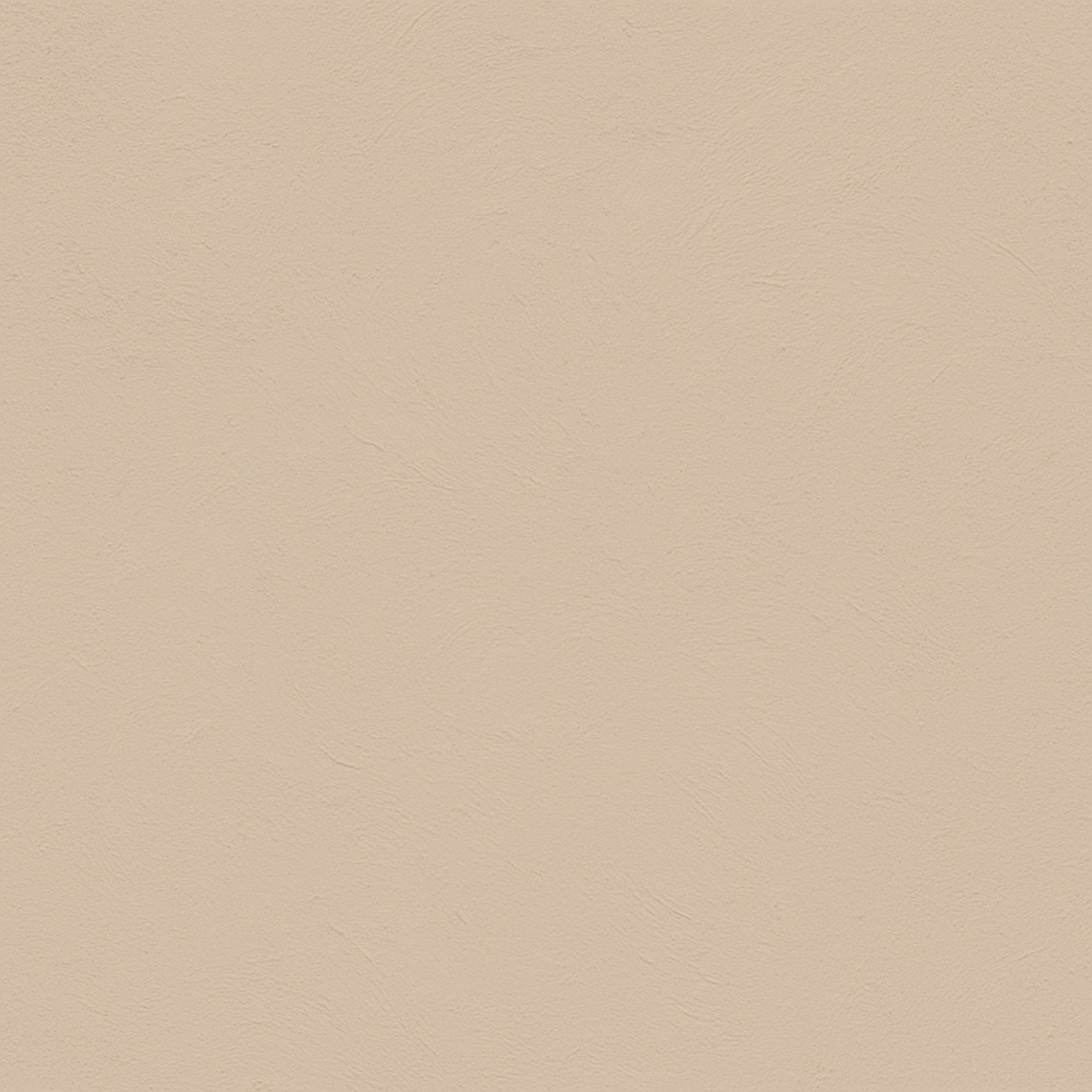 Sahara