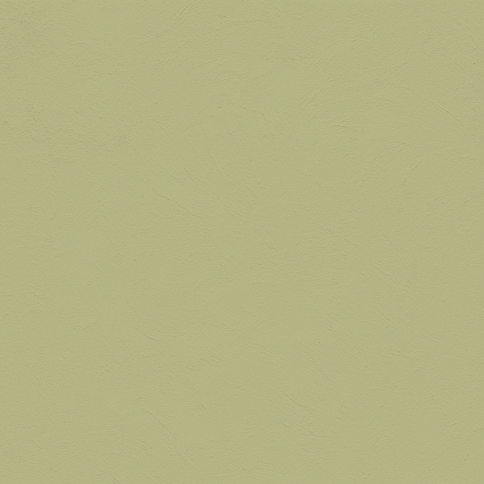 Wasabi